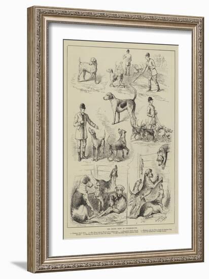 The Hound Show at Peterborough-null-Framed Giclee Print