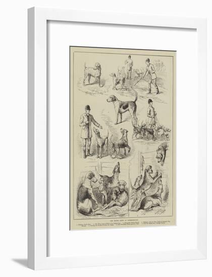 The Hound Show at Peterborough-null-Framed Giclee Print