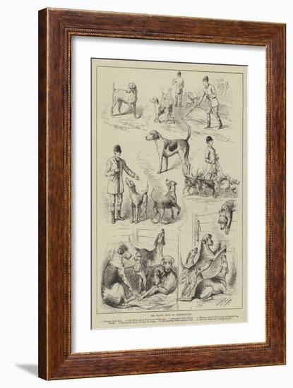 The Hound Show at Peterborough-null-Framed Giclee Print