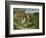 The House of the Hanged Man, 1873-Paul Cézanne-Framed Giclee Print