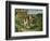 The House of the Hanged Man, 1873-Paul Cézanne-Framed Giclee Print