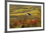The House of Vines-Philippe Sainte-Laudy-Framed Photographic Print