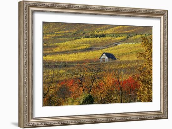 The House of Vines-Philippe Sainte-Laudy-Framed Photographic Print