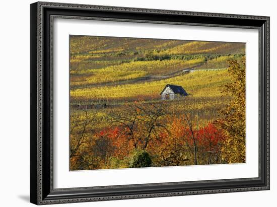 The House of Vines-Philippe Sainte-Laudy-Framed Photographic Print