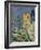 The House with the Cracked Walls, 1892-94-Paul Cezanne-Framed Giclee Print