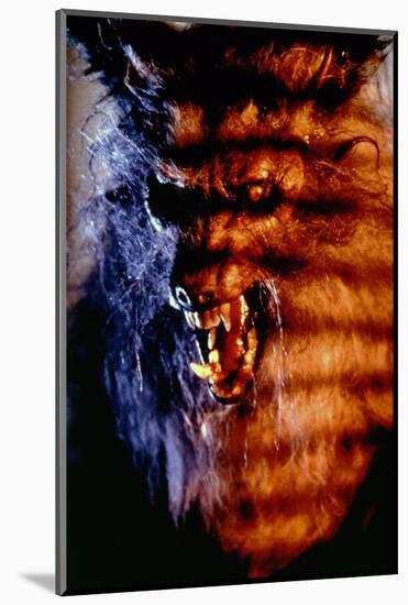 THE HOWLING, 1981 directed by JOE DANTE (photo)-null-Mounted Photo