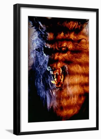 Photo, , large