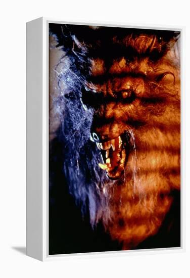 THE HOWLING, 1981 directed by JOE DANTE (photo)-null-Framed Stretched Canvas