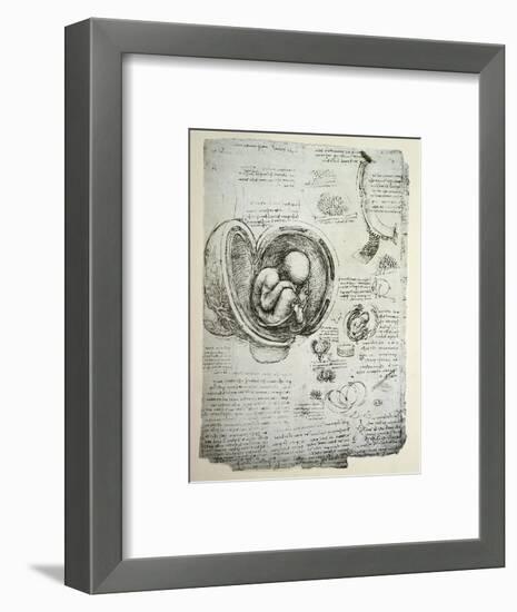 The Human Foetus in the Womb, Facsimile Copy-Leonardo da Vinci-Framed Premium Giclee Print