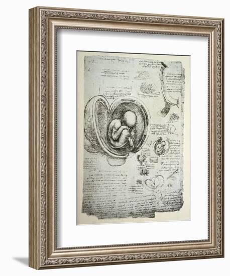 The Human Foetus in the Womb, Facsimile Copy-Leonardo da Vinci-Framed Giclee Print