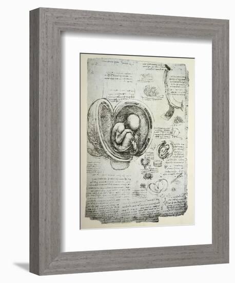 The Human Foetus in the Womb, Facsimile Copy-Leonardo da Vinci-Framed Giclee Print