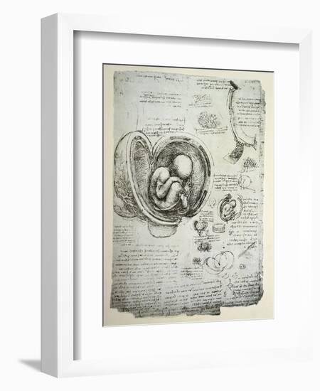 The Human Foetus in the Womb, Facsimile Copy-Leonardo da Vinci-Framed Giclee Print