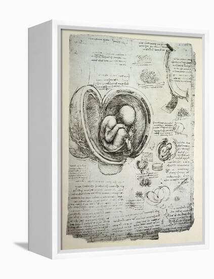 The Human Foetus in the Womb, Facsimile Copy-Leonardo da Vinci-Framed Premier Image Canvas