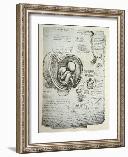 The Human Foetus in the Womb, Facsimile Copy-Leonardo da Vinci-Framed Giclee Print