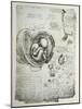 The Human Foetus in the Womb, Facsimile Copy-Leonardo da Vinci-Mounted Giclee Print