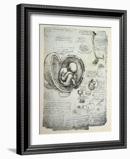 The Human Foetus in the Womb, Facsimile Copy-Leonardo da Vinci-Framed Giclee Print