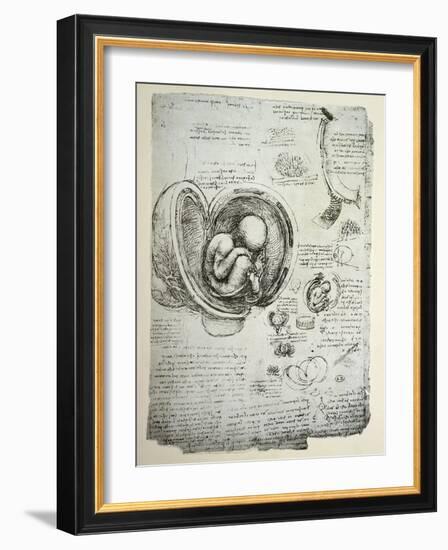 The Human Foetus in the Womb, Facsimile Copy-Leonardo da Vinci-Framed Giclee Print