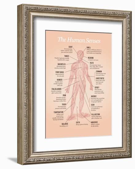 The Human Senses-Stephen Wildish-Framed Art Print