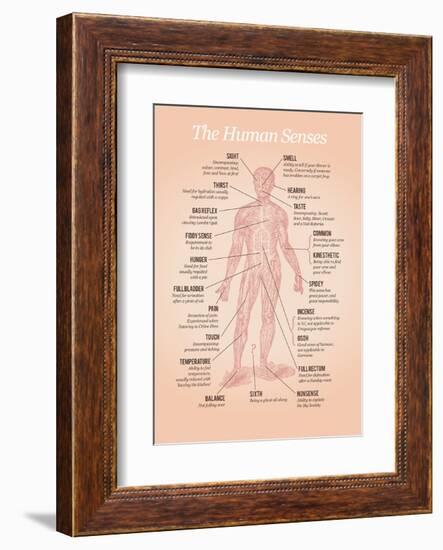 The Human Senses-Stephen Wildish-Framed Art Print