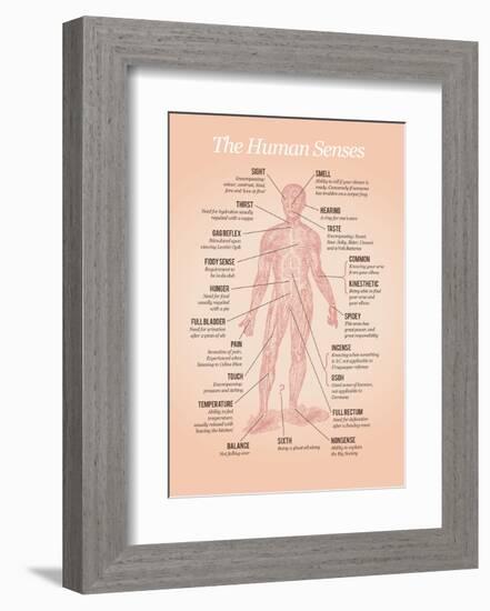 The Human Senses-Stephen Wildish-Framed Art Print