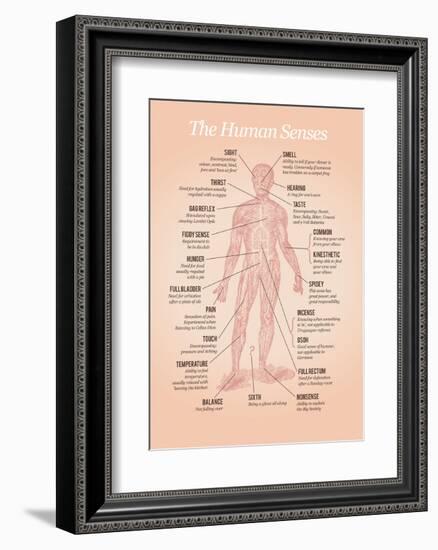 The Human Senses-Stephen Wildish-Framed Art Print