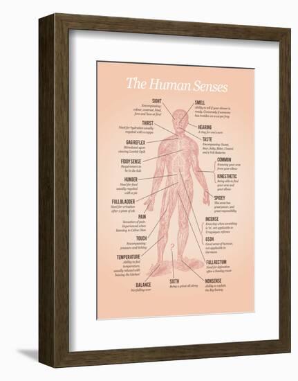 The Human Senses-Stephen Wildish-Framed Art Print