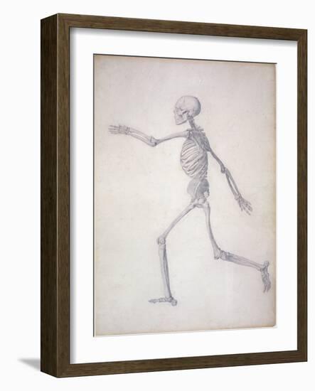 The Human Skeleton-George Stubbs-Framed Giclee Print