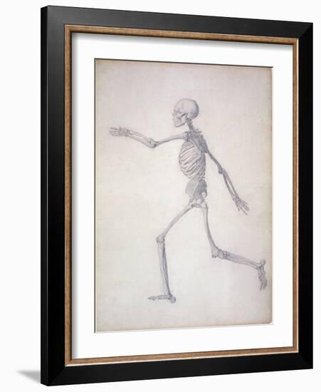 The Human Skeleton-George Stubbs-Framed Giclee Print