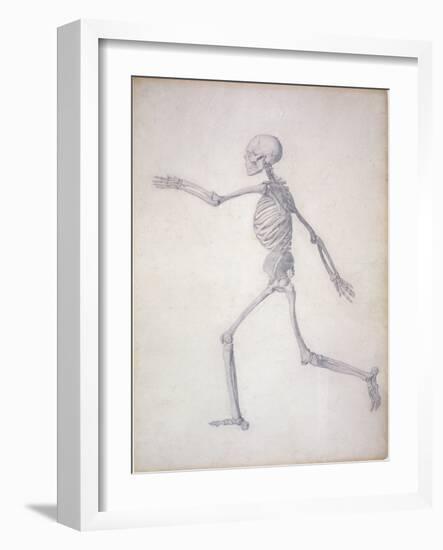 The Human Skeleton-George Stubbs-Framed Giclee Print