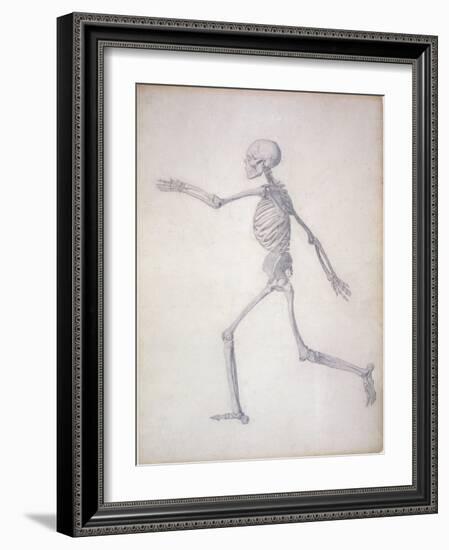 The Human Skeleton-George Stubbs-Framed Giclee Print