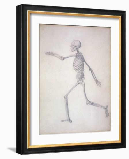 The Human Skeleton-George Stubbs-Framed Giclee Print