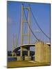 The Humber Bridge, from the South, England, Uk-Tony Waltham-Mounted Photographic Print