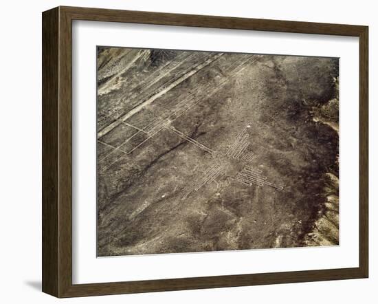 The Humming Bird Geoglyph, aerial view, Nazca, UNESCO World Heritage Site, Ica Region, Peru, South -Karol Kozlowski-Framed Photographic Print