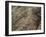The Humming Bird Geoglyph, aerial view, Nazca, UNESCO World Heritage Site, Ica Region, Peru, South -Karol Kozlowski-Framed Photographic Print