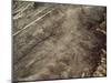 The Humming Bird Geoglyph, aerial view, Nazca, UNESCO World Heritage Site, Ica Region, Peru, South -Karol Kozlowski-Mounted Photographic Print