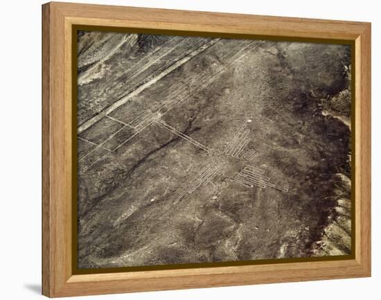 The Humming Bird Geoglyph, aerial view, Nazca, UNESCO World Heritage Site, Ica Region, Peru, South -Karol Kozlowski-Framed Premier Image Canvas