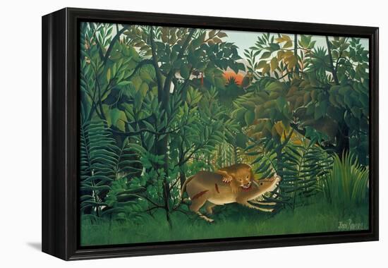 The Hungry Lion, 1905-Henri Rousseau-Framed Premier Image Canvas