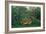 The Hungry Lion, 1905-Henri Rousseau-Framed Giclee Print