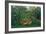 The Hungry Lion, 1905-Henri Rousseau-Framed Giclee Print