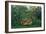 The Hungry Lion, 1905-Henri Rousseau-Framed Giclee Print