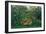 The Hungry Lion, 1905-Henri Rousseau-Framed Giclee Print