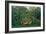 The Hungry Lion, 1905-Henri Rousseau-Framed Giclee Print