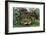 The Hungry Lion-Henri Rousseau-Framed Art Print