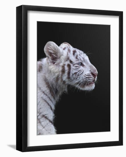 The Hunter-null-Framed Photographic Print