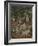 The Hunters Enter the Woods, c.1500-Netherlandish School-Framed Giclee Print