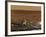 The Husband Hill Summit Panorama-Stocktrek Images-Framed Photographic Print