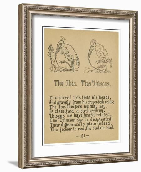 The Ibis. The 'ibiscus.-Robert Williams Wood-Framed Art Print