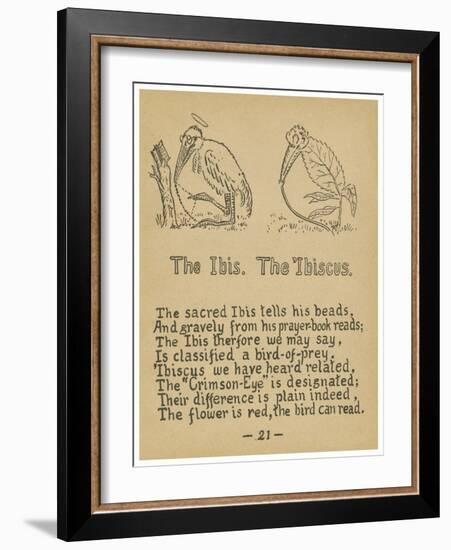 The Ibis. The 'ibiscus.-Robert Williams Wood-Framed Art Print
