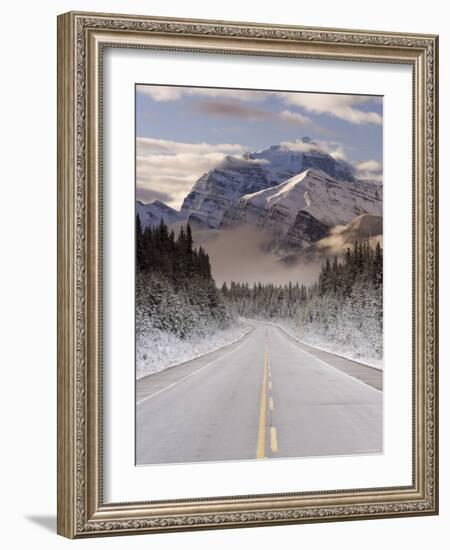 The Icefields Parkway, Banff-Jasper National Parks, Rocky Mountains, Canada-Gavin Hellier-Framed Photographic Print