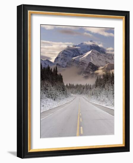 The Icefields Parkway, Banff-Jasper National Parks, Rocky Mountains, Canada-Gavin Hellier-Framed Photographic Print